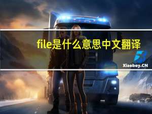 file是什么意思中文翻译（file是什么意思）