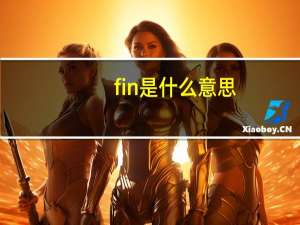 fin是什么意思？