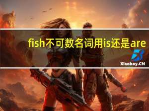 fish不可数名词用is还是are