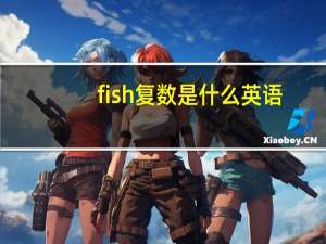 fish复数是什么英语