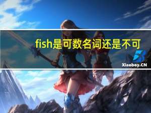 fish是可数名词还是不可