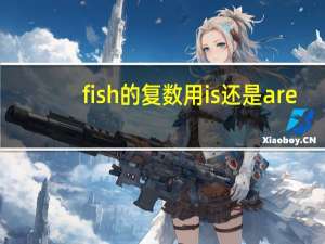 fish的复数用is还是are