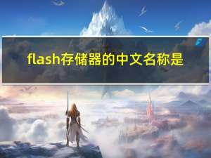 flash存储器的中文名称是（flash存储器）