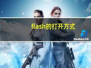 flash的打开方式（flash打开方式）