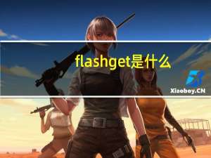 flashget是什么（fleshget）