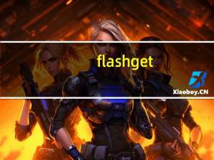 flash get（flash get）