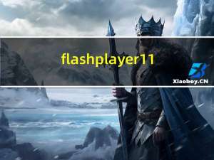 flash player 11.3（flash player 9 0）