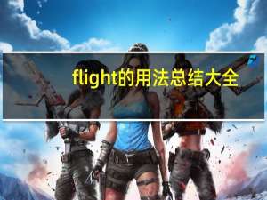 flight的用法总结大全