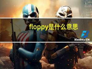 floppy是什么意思（floppy是什么意思）