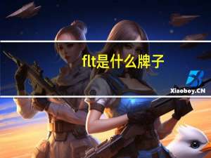 flt是什么牌子（flt）