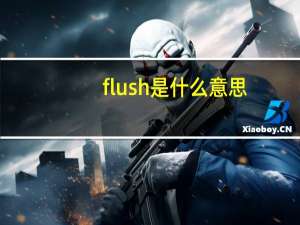 flush是什么意思