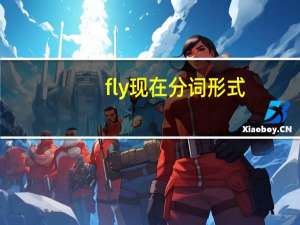 fly现在分词形式