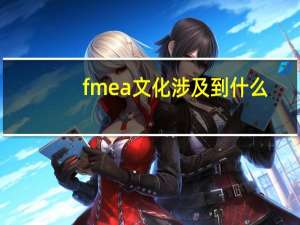 fmea文化涉及到什么