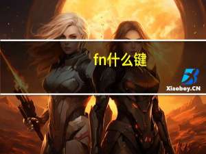 fn什么键