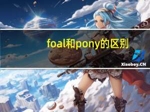 foal和pony的区别