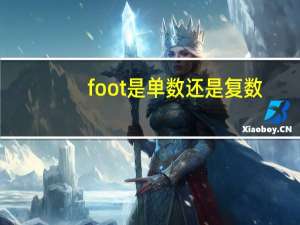 foot是单数还是复数