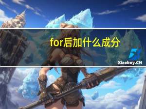 for后加什么成分
