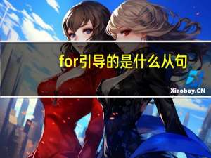 for 引导的是什么从句