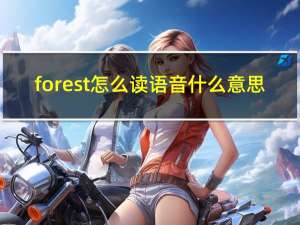 forest怎么读语音什么意思（forest怎么读）