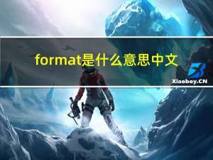 format是什么意思中文（format是什么意思）