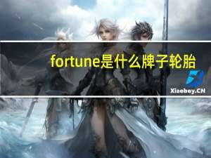 fortune是什么牌子轮胎