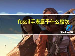 fossil手表属于什么档次