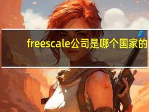 freescale公司是哪个国家的（freescale中国官网）