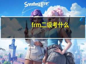 frm二级考什么