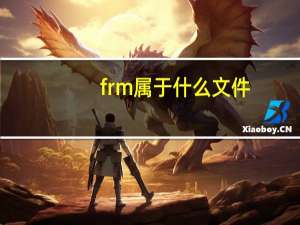 frm属于什么文件