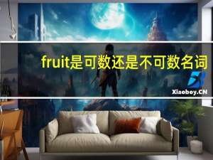 fruit是可数还是不可数名词