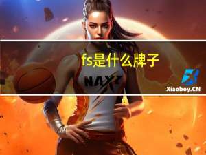 fs是什么牌子