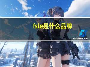 fsle是什么品牌