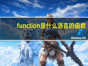 function是什么语言的函数