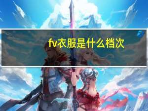 fv衣服是什么档次