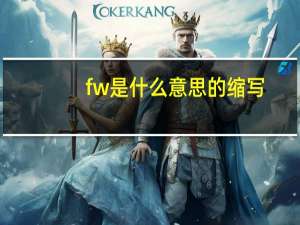 fw是什么意思的缩写（fw什么梗）
