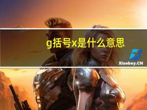 g括号x是什么意思