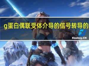 g蛋白偶联受体介导的信号转导的特点（g蛋白偶联受体介导的信号转导）