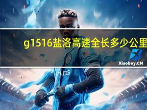 g1516盐洛高速全长多少公里