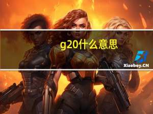g20什么意思
