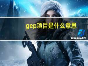 gep项目是什么意思