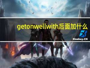 get on well with后面加什么