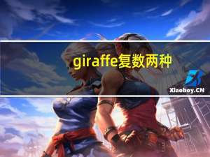 giraffe复数两种