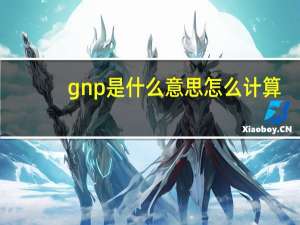 gnp是什么意思怎么计算（gnp是什么意思）