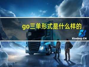 go三单形式是什么样的