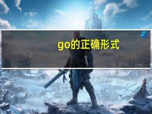 go的正确形式