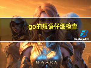 go的短语仔细检查