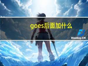 goes后面加什么