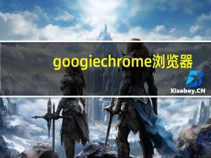 googiechrome浏览器