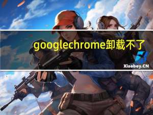 googlechrome卸载不了