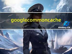 google common cache（google com）